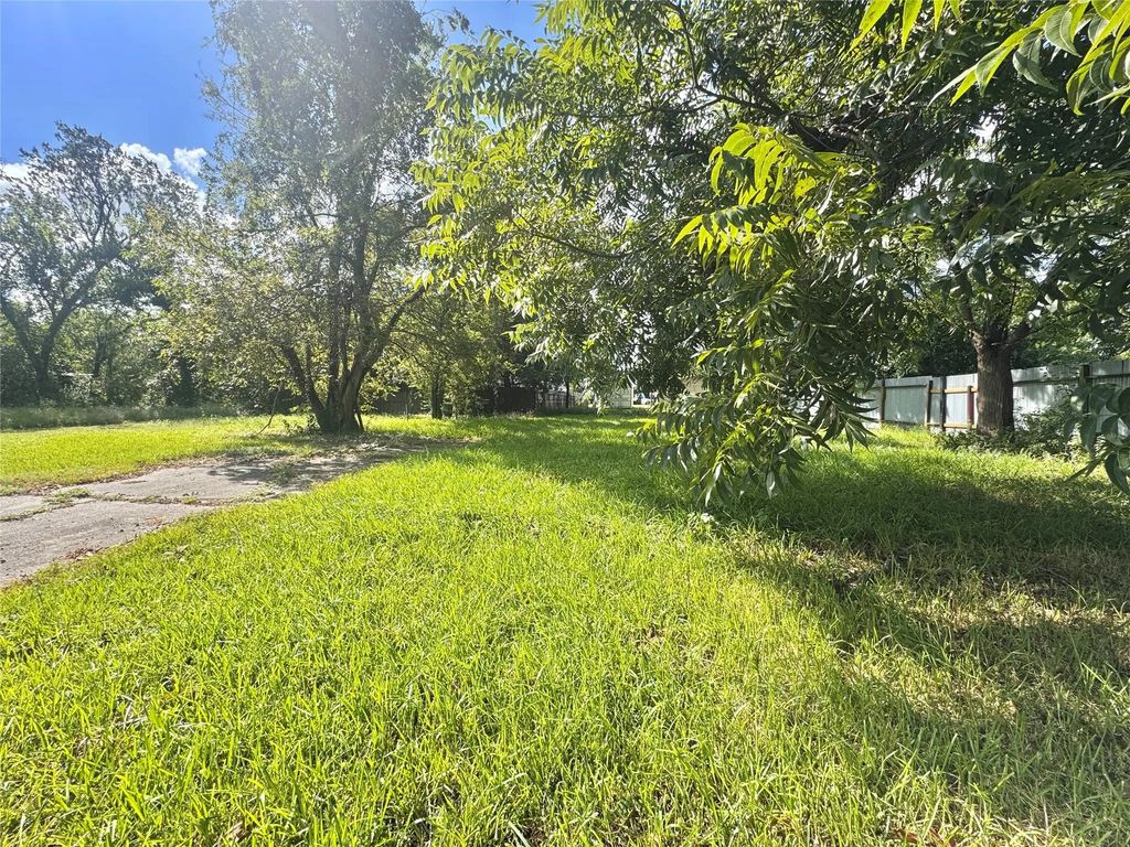 1504 E 33rd Street, Houston