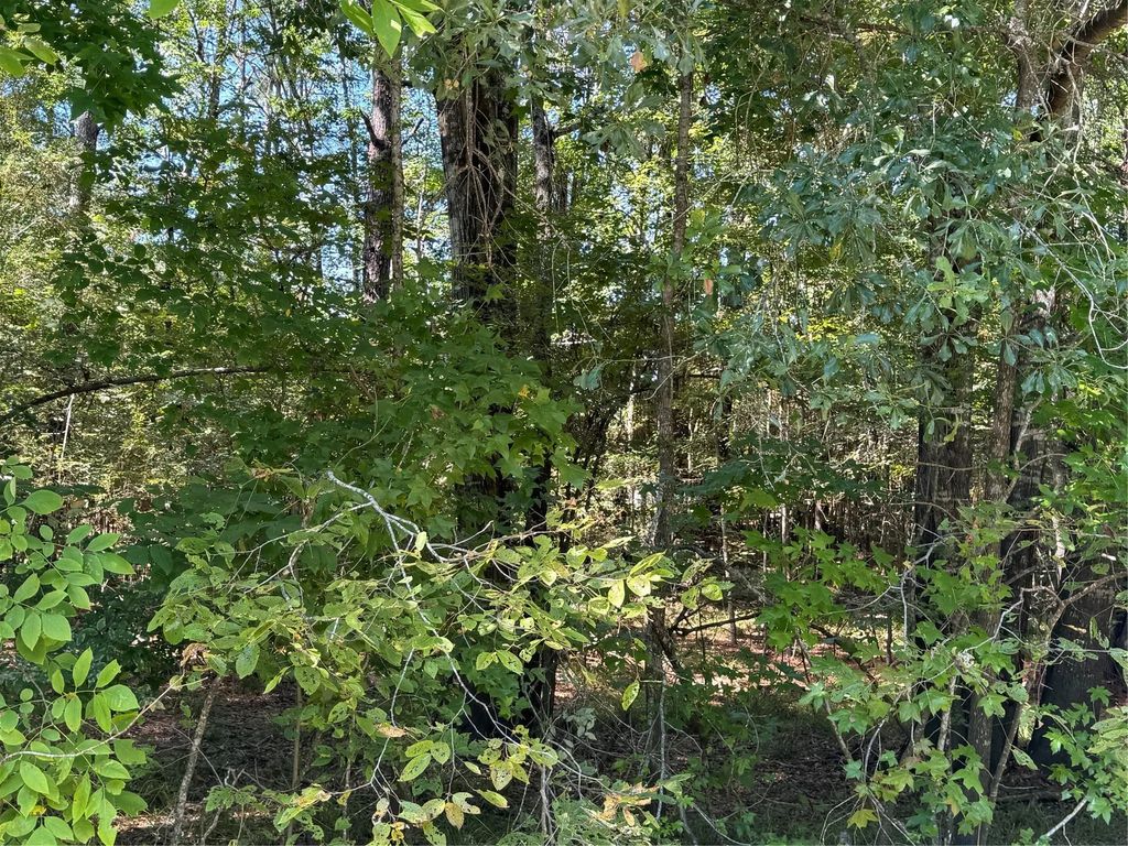 Caney Creek, Huntsville