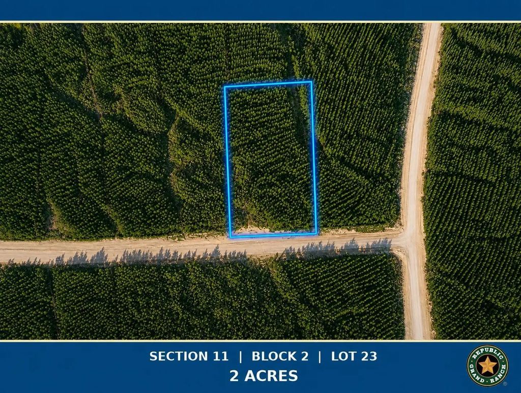 15979 Forest Grove Drive, Willis