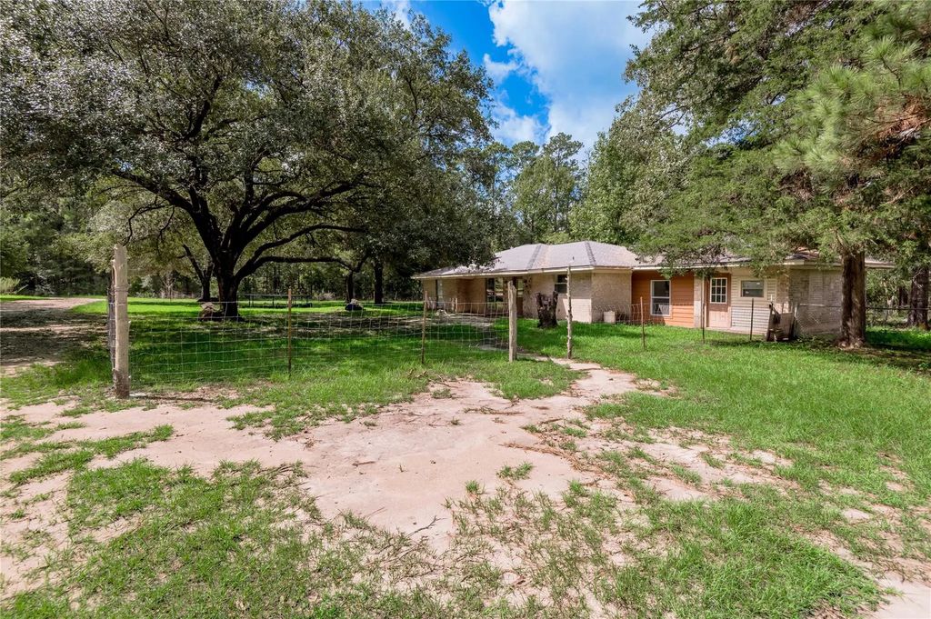 347 Shelby, Livingston