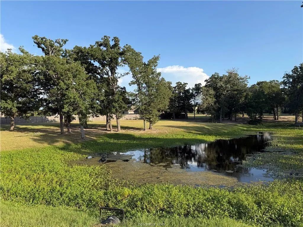 9901 Hunters Run, College Station