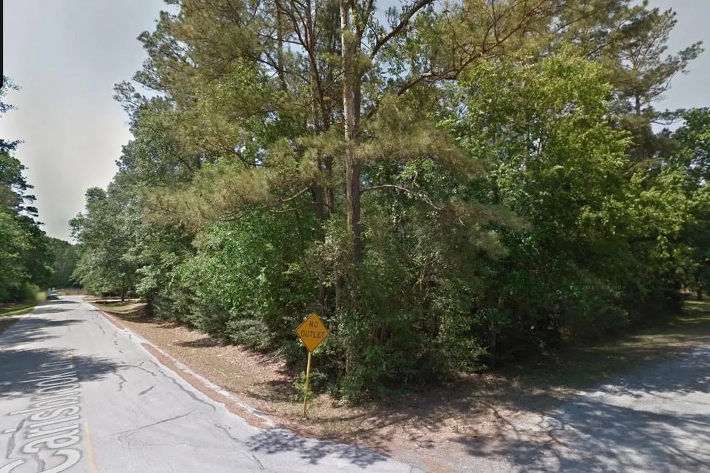 Carisbrook Lane, Humble