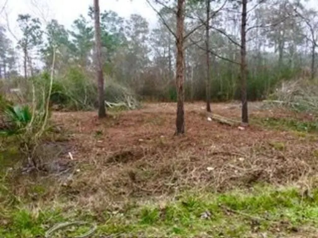 14255 Gray Road, Beaumont