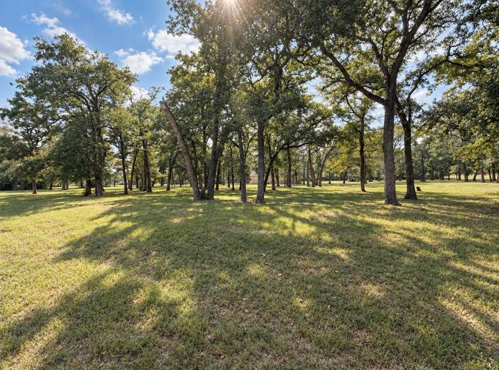 1343 Rocky Lane, Bedias