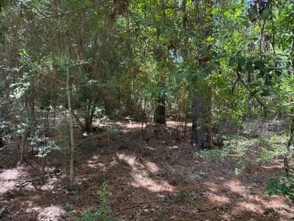 Twigwood Drive, Brookeland