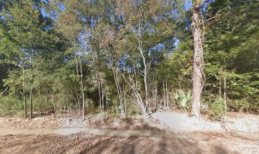 Pin Oak Lane, Houston