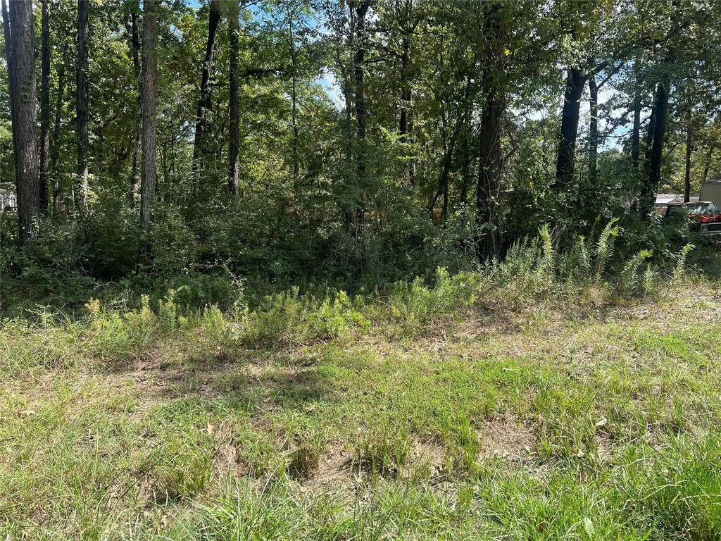 Tbd Meridian Lot 22, Livingston