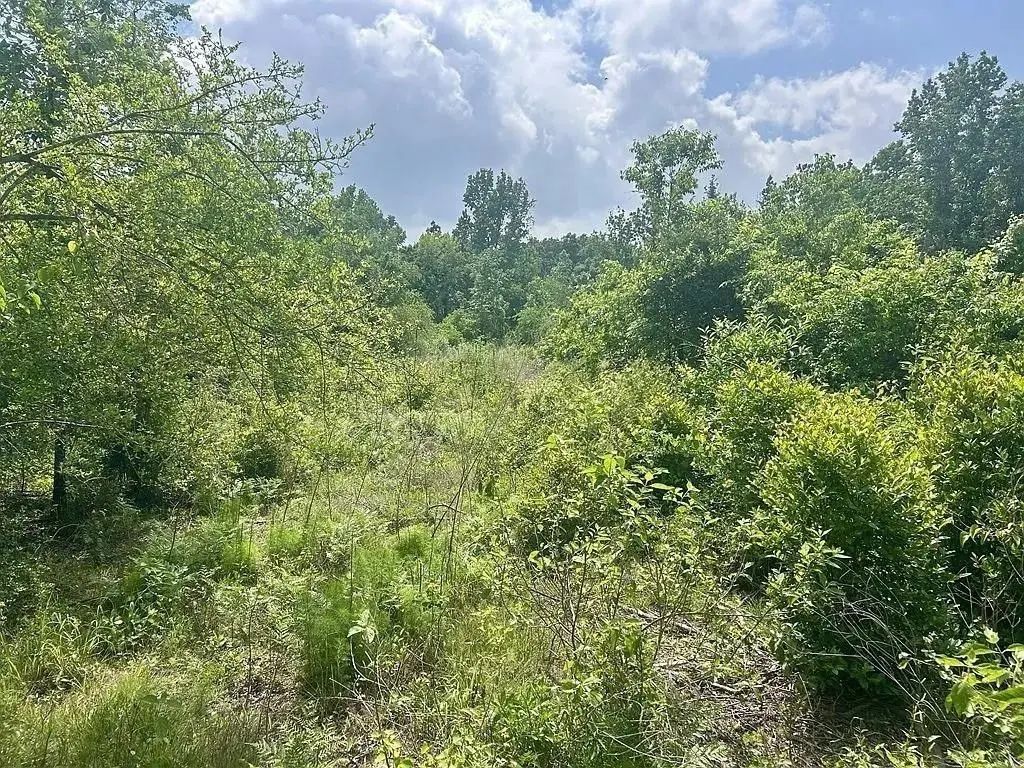 Lot 15 County Road 175, Nacogdoches