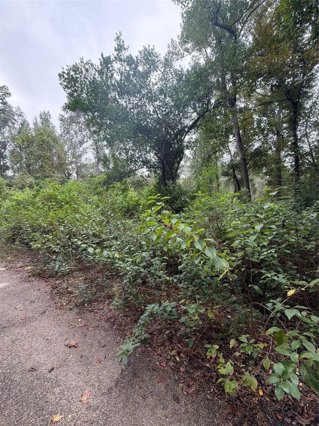 Cottonwood Place, Splendora