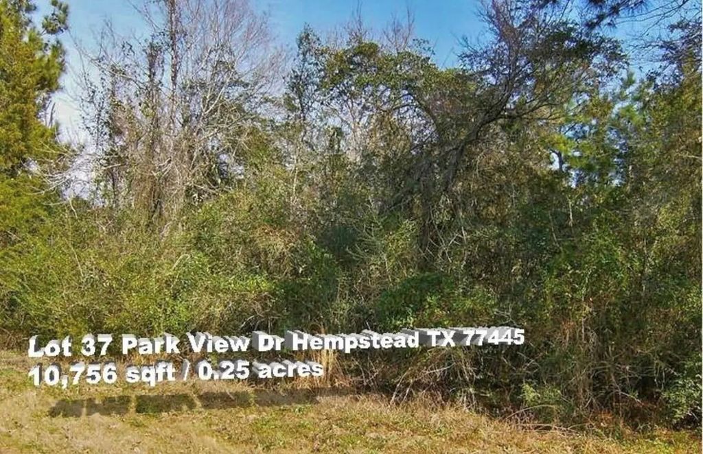 Park View, Hempstead
