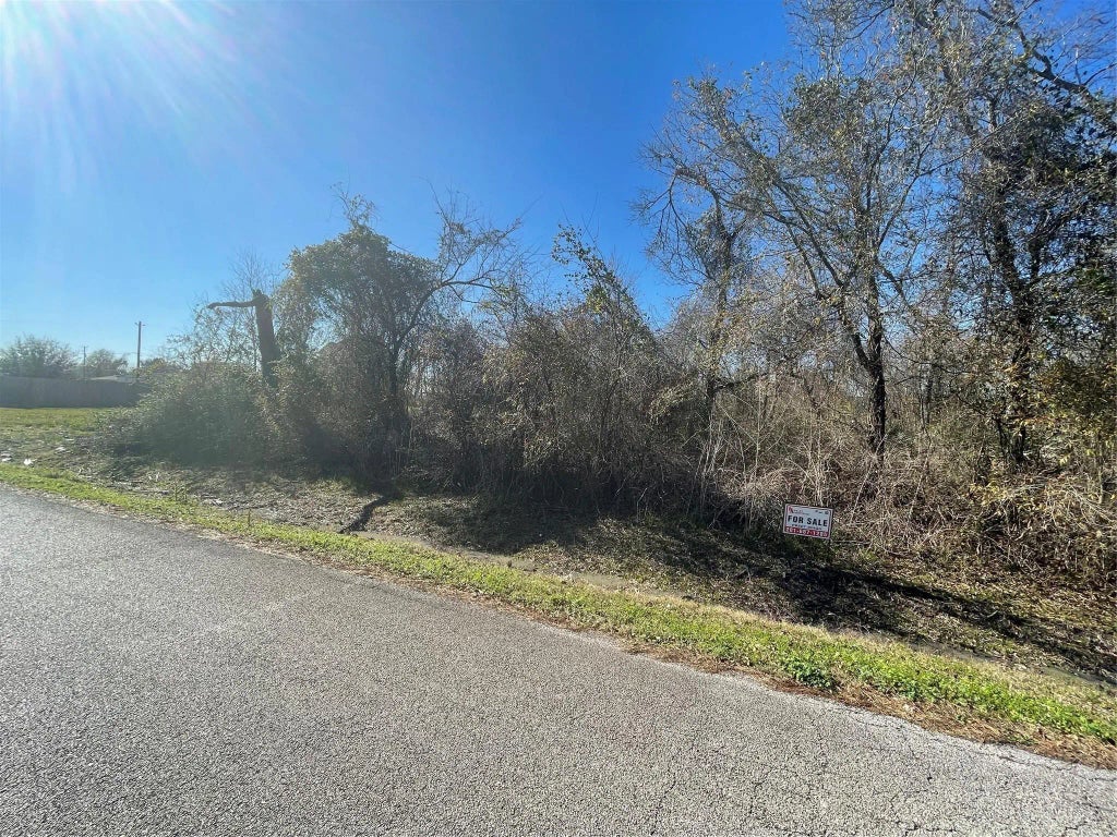 Yaupon Street, Baytown
