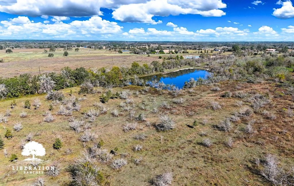 13316 Farm To Market Rd 2620 Tract 7, Bedias
