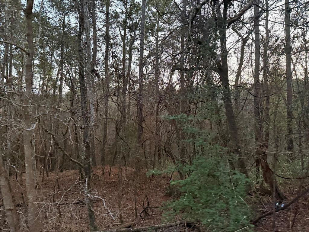 126 Green Tree Drive, Coldspring
