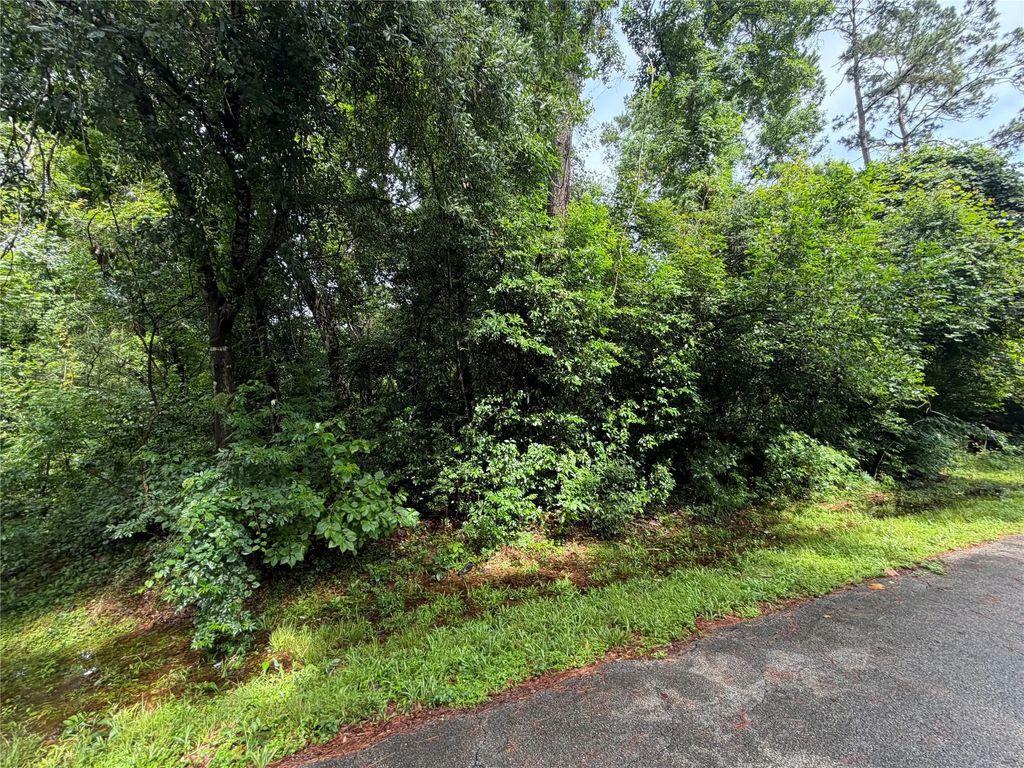 Lot 20 Idlewild Road, New Caney