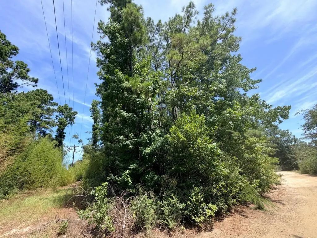 .44 Ac Fm 3414, Jasper