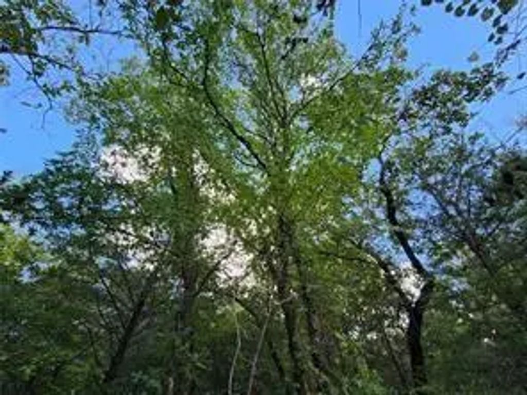 County Road 4710 Lot 465, Larue