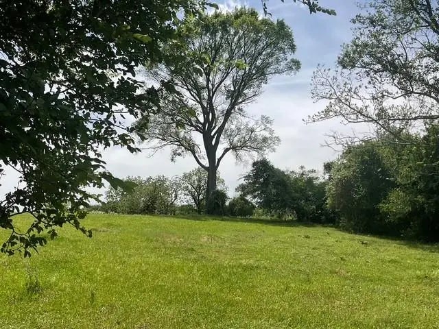 Riverside Plantation Lane, Chappell Hill