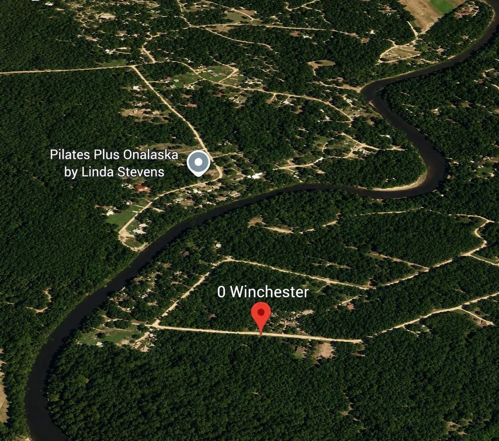 Winchester, Livingston
