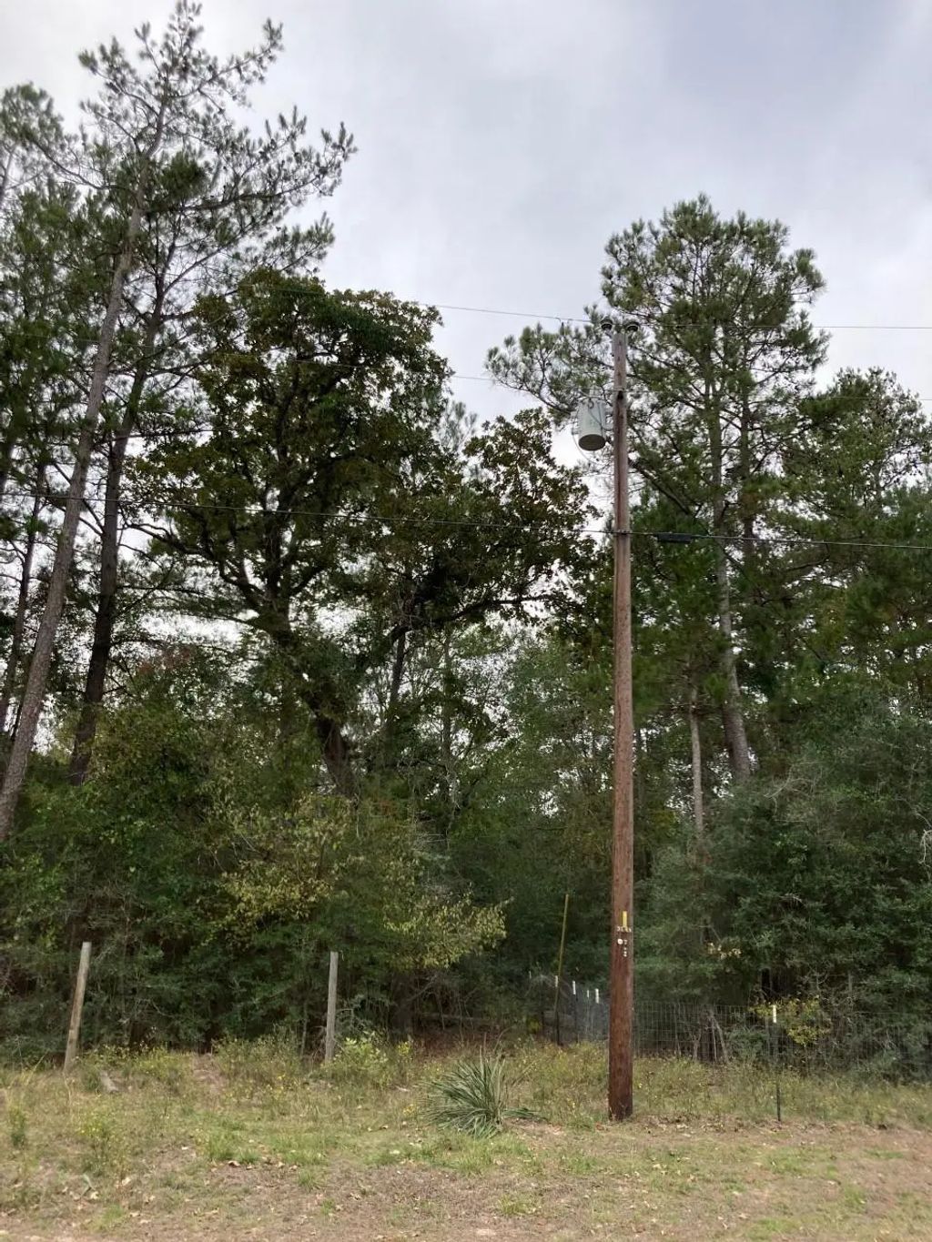 16596 Camelia Lane, Plantersville