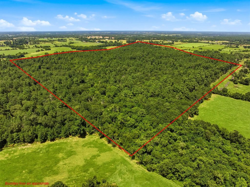 118.25 Acres Cr 278c, Anderson
