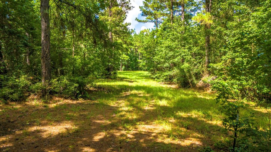 45 Acres Fm 229, Crockett