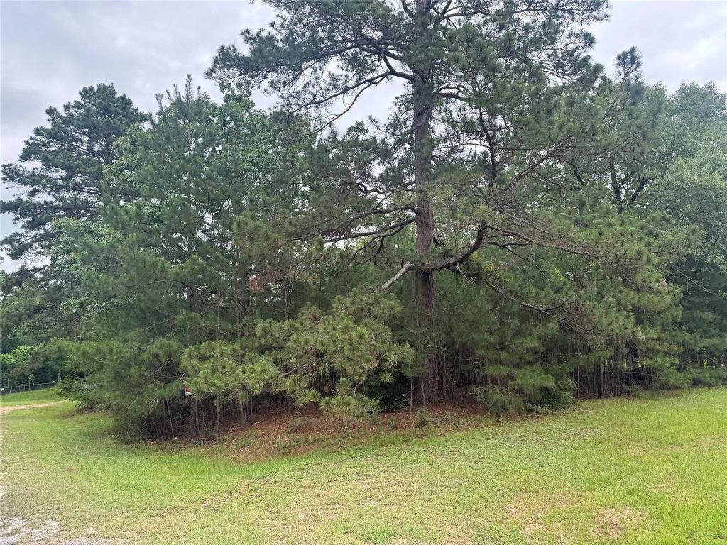 Tbd Persimmon Cir, Point Blank