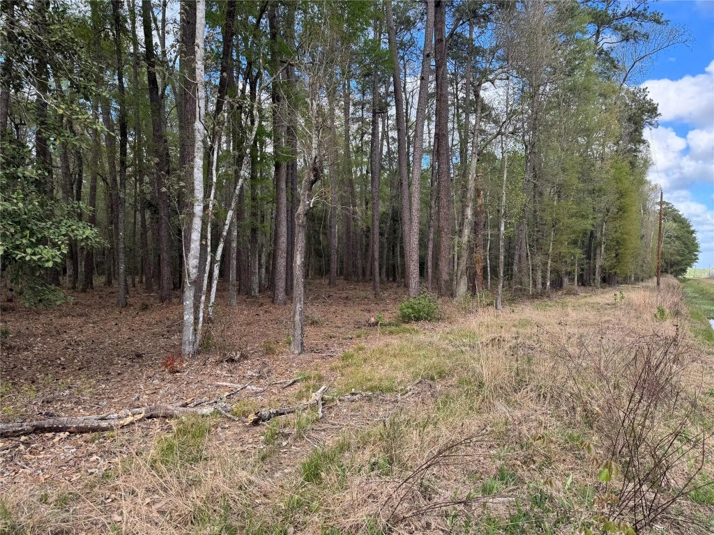 County Road 2317, Dayton