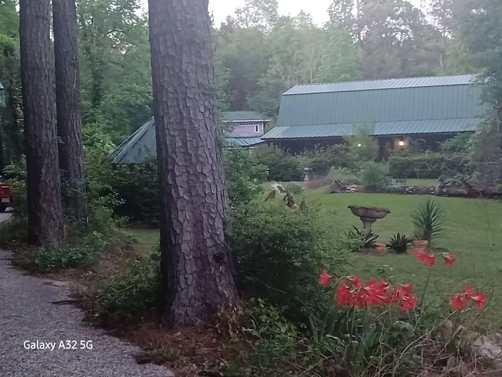 755 Evangeline Drive, Vidor