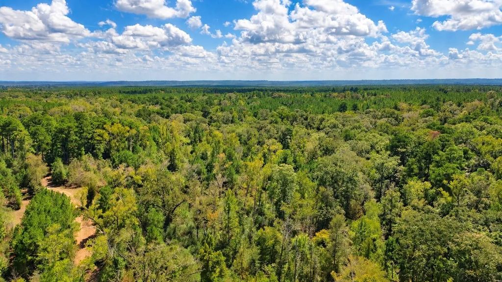 108241000 County Road 2913, Alto