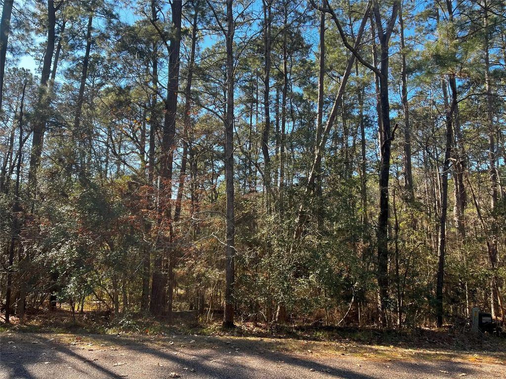61 Sunny Hill Drive, Coldspring