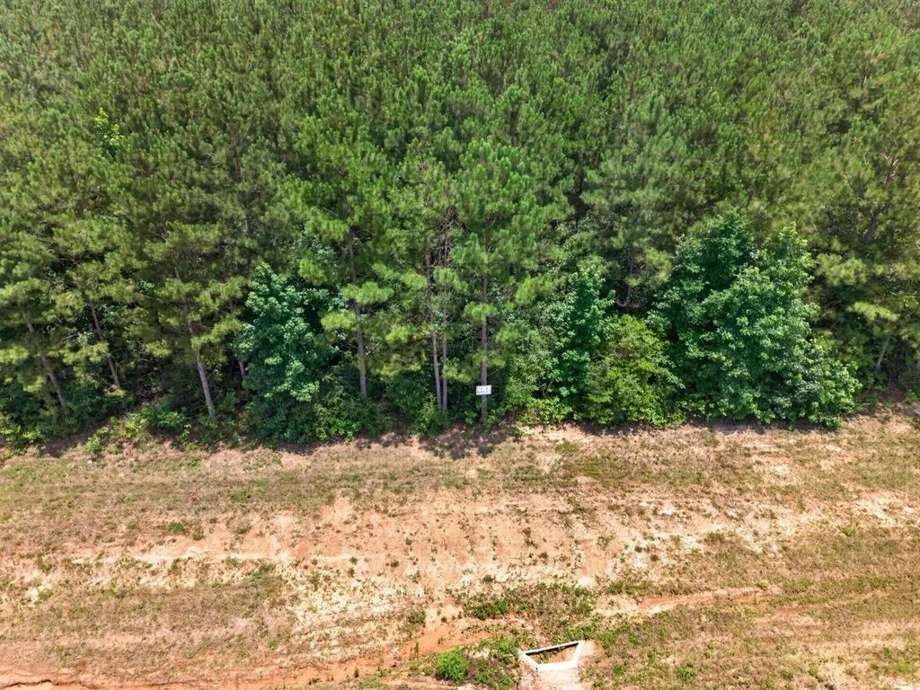15261 Rubicon Road, Willis