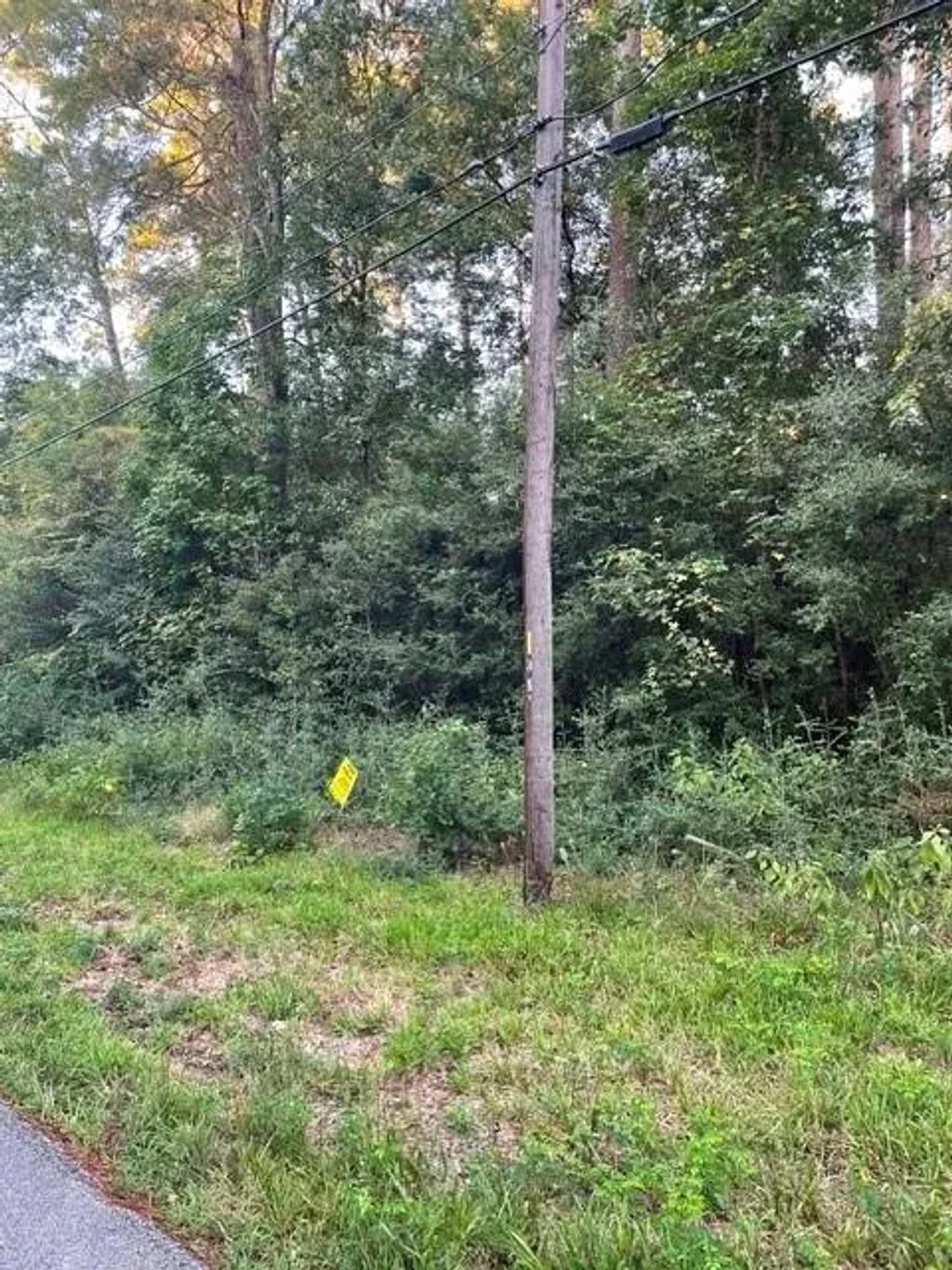 Tbd .51 Ac Pecan Dr, Montgomery