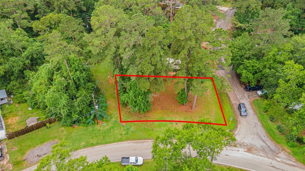 13149 S Lee Shore Drive, Willis