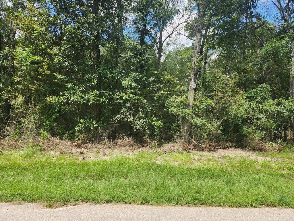 Idlewood Rdwy, New Caney