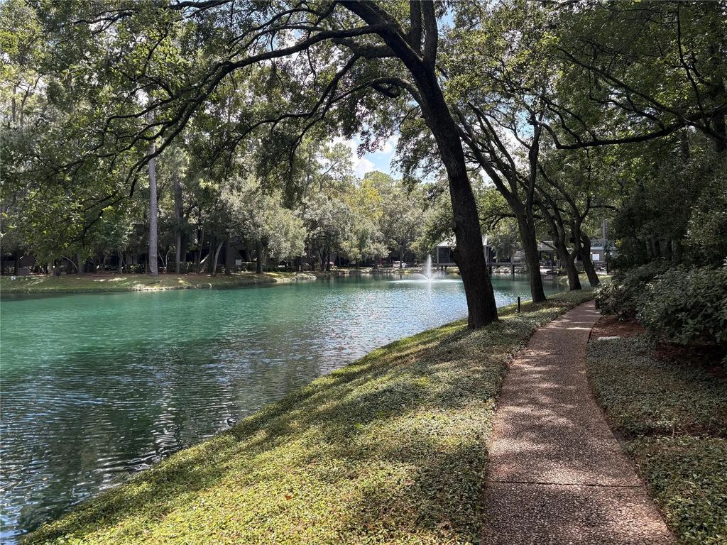 153 Litchfield Lane, Houston