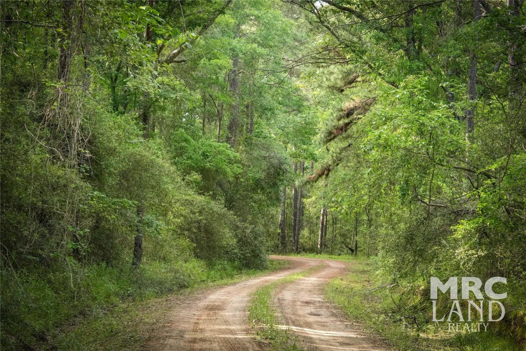 County Road 4690, Kennard