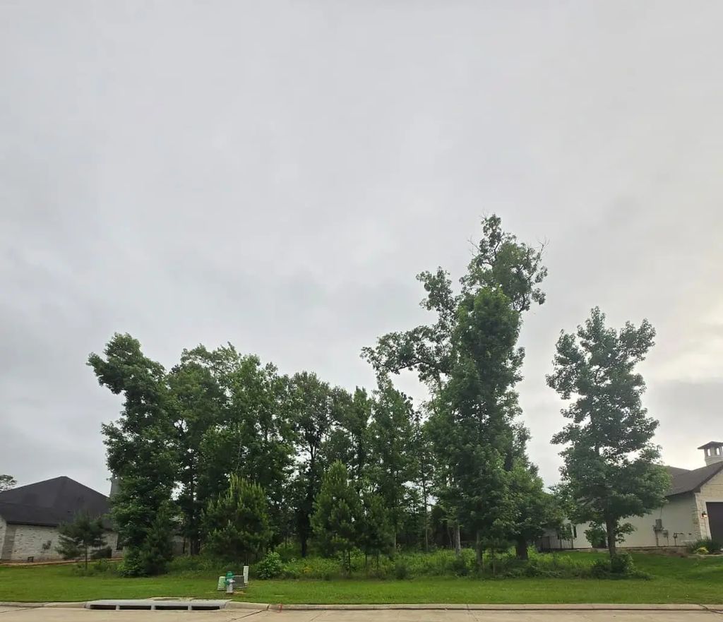 1713 Mission Oaks Court, Conroe
