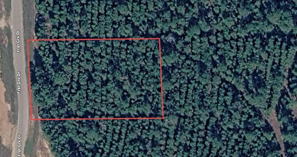 15576 Forest Grove Drive, Willis