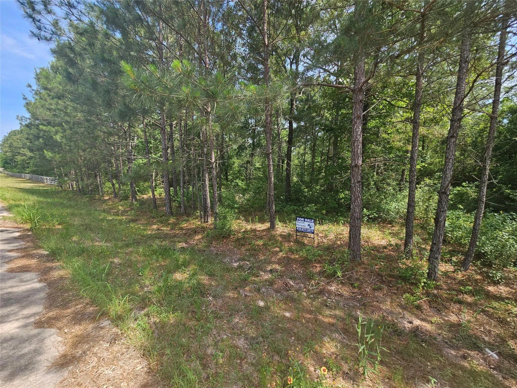 Tbd Big Buck Dr Drive, Cleveland