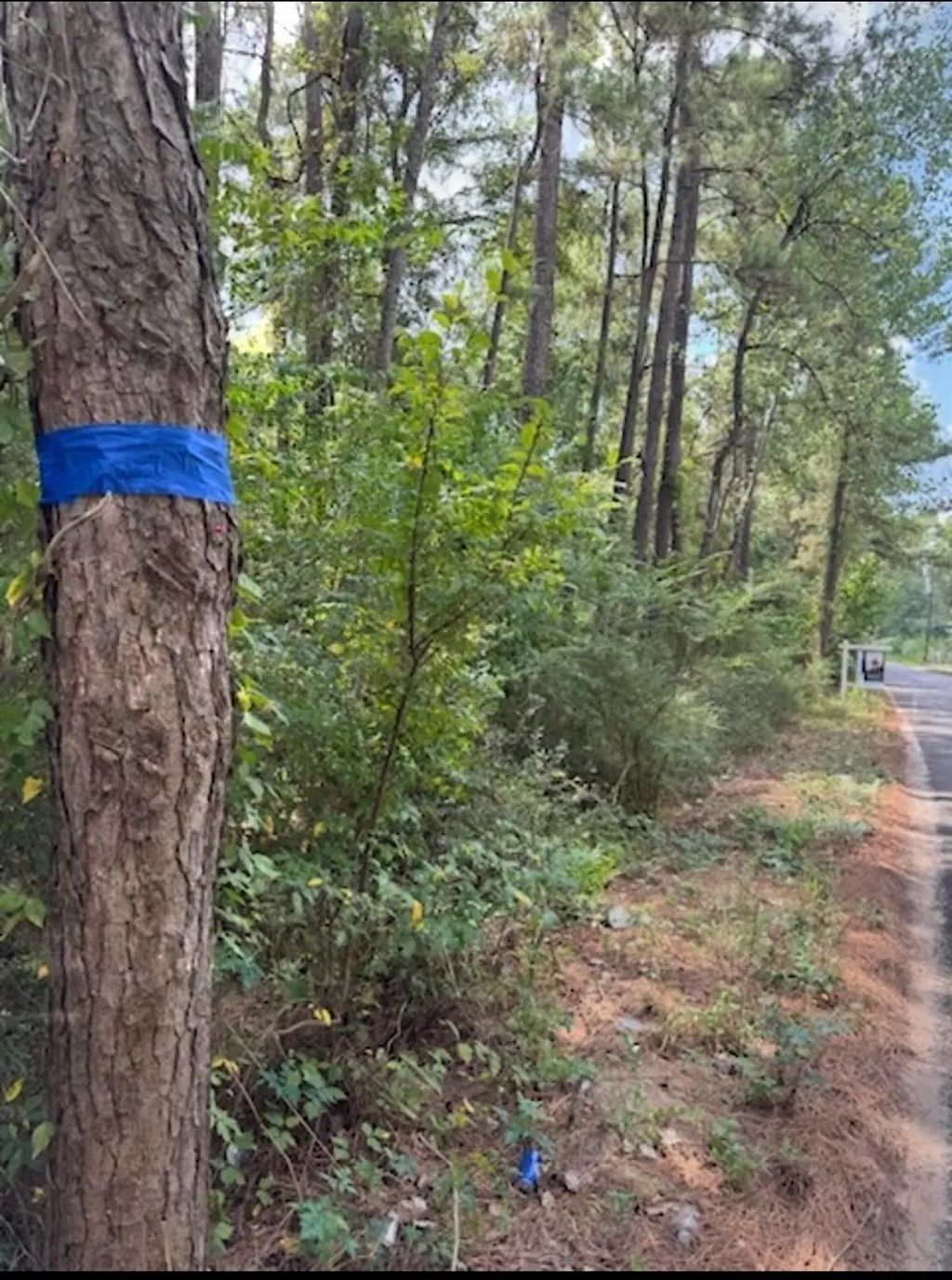 Pinebrook Lot 77, Plantersville