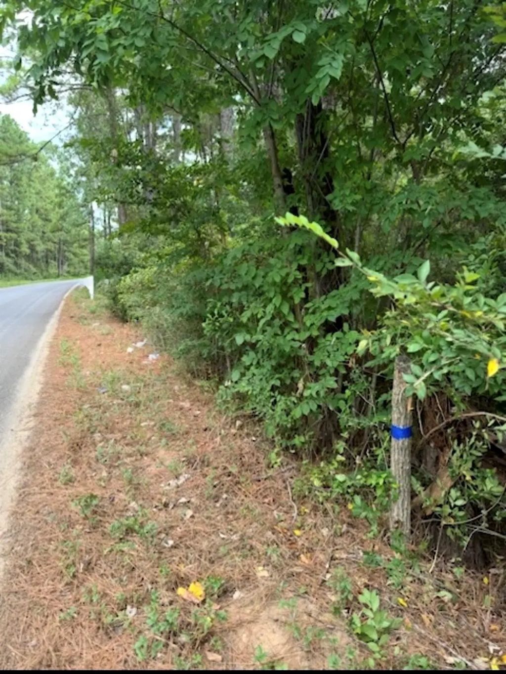 Pinebrook Lot 77, Plantersville