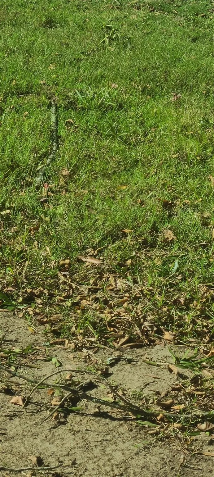 W Dallas Road, Fresno