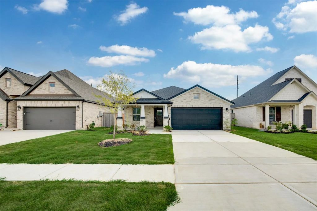 19127 Friesian Stallion Lane, Tomball