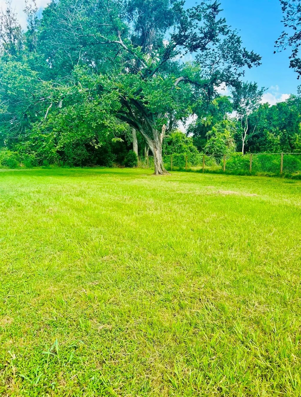 2215 Dewalt Street, Houston