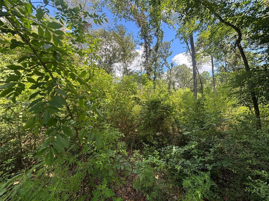 26059 E Christine Drive, Splendora