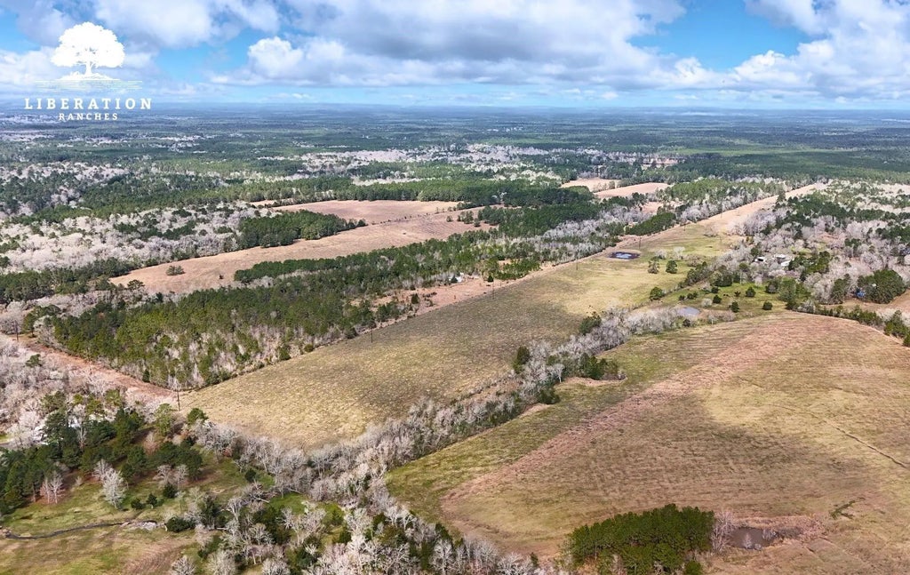 Lot 5 John Warren Road, Coldspring