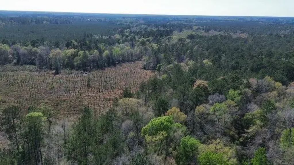 16332 Highway 96 S, Kirbyville