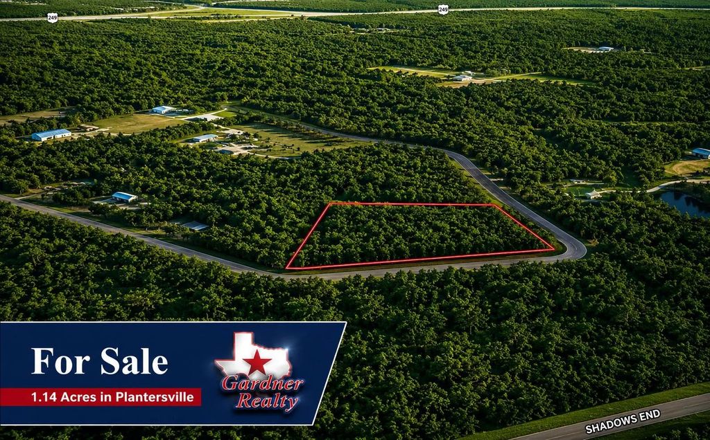 9102 Blue Lake Drive, Plantersville
