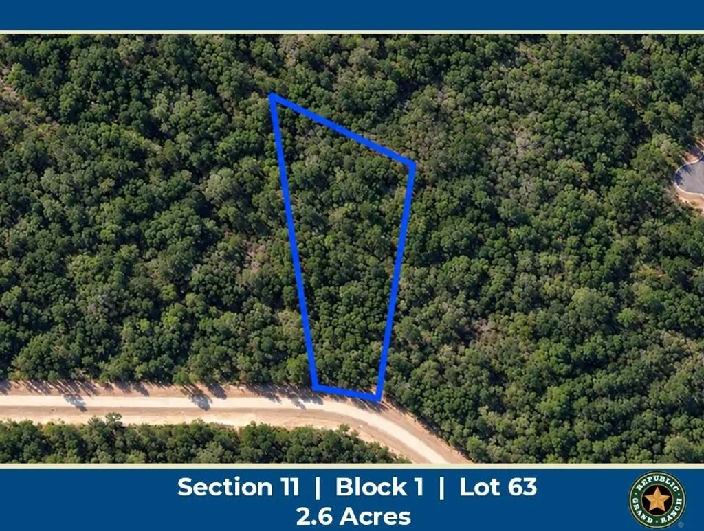 15437 Woodlife Road, Willis