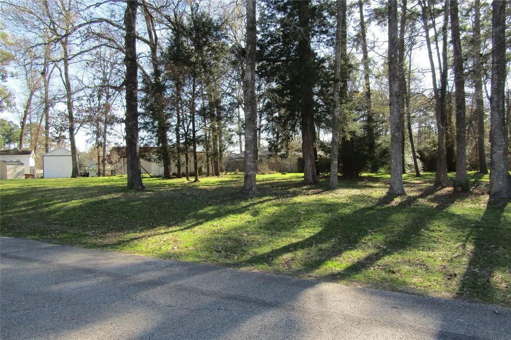 Shady Lane, Livingston